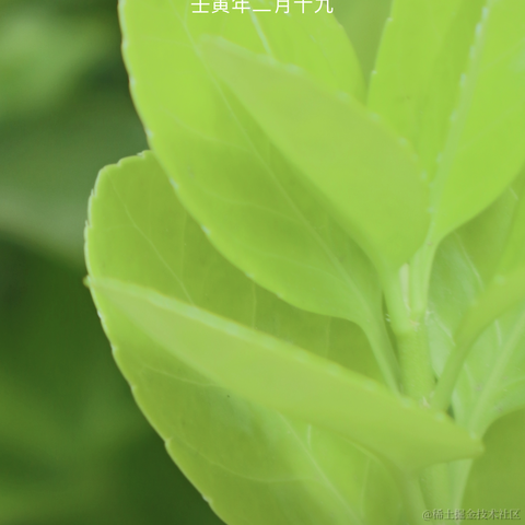 红毛丹于2022-03-21 13:43发布的图片