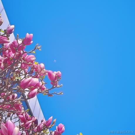 violetBlue于2023-04-13 22:26发布的图片