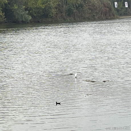 好的好于2022-11-12 13:44发布的图片