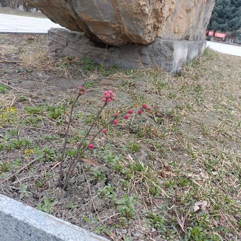 哇酷哇库于2023-04-21 14:11发布的图片