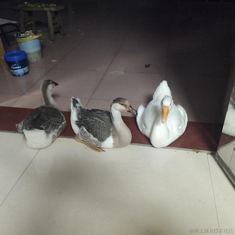 天光向晚云徘徊于2022-11-19 22:34发布的图片