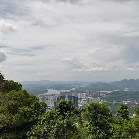 前端第一渣男于2021-09-10 12:05发布的图片