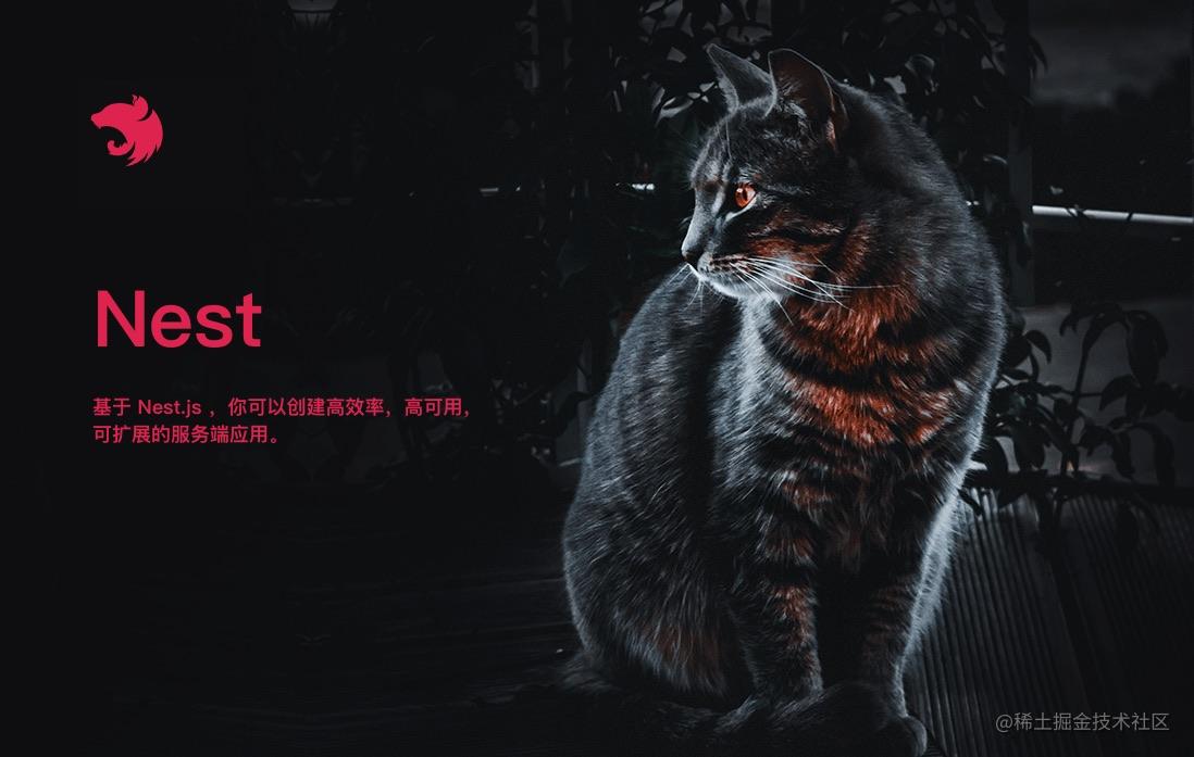 nest系列
