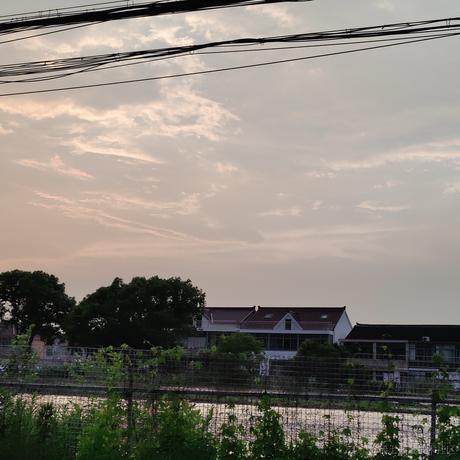 YDYK于2023-05-30 12:03发布的图片