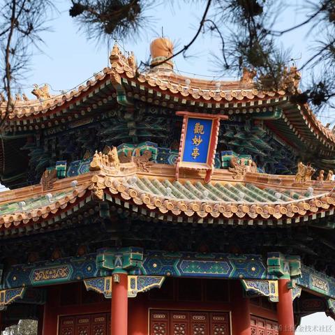 谁来买我的火柴于2024-03-04 15:56发布的图片