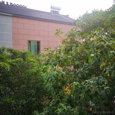 筱舟大摸王于2022-11-26 16:41发布的图片