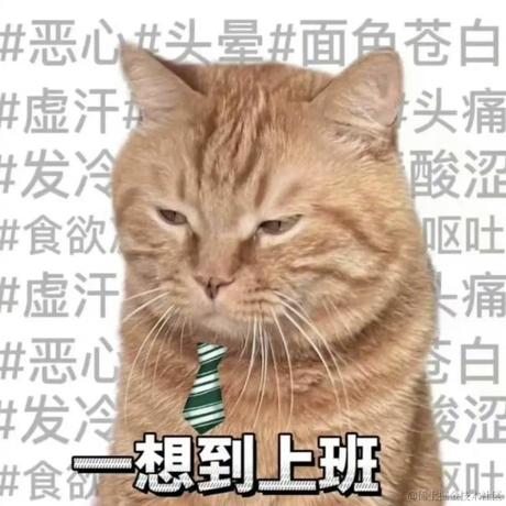 风寿于2024-04-24 15:43发布的图片