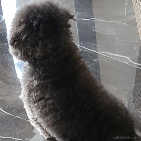 你什么矮子于2022-11-12 02:25发布的图片