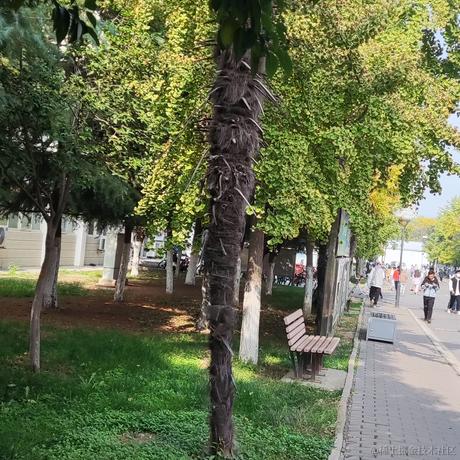 嘉然今天吃电弧星捏于2022-11-09 17:17发布的图片