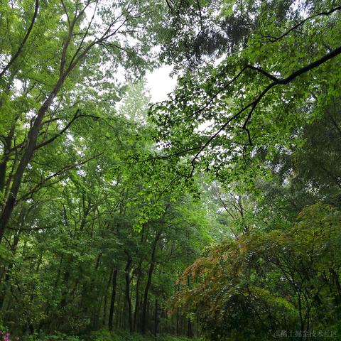 Sarah_于2024-04-23 11:46发布的图片