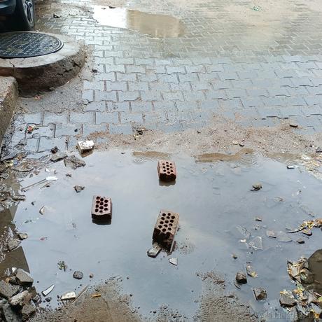 四月一日君寻于2023-06-24 17:39发布的图片