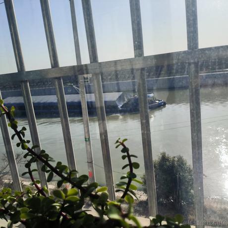 起无陌于2022-12-15 09:37发布的图片