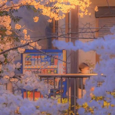 奈俞于2022-11-15 15:44发布的图片