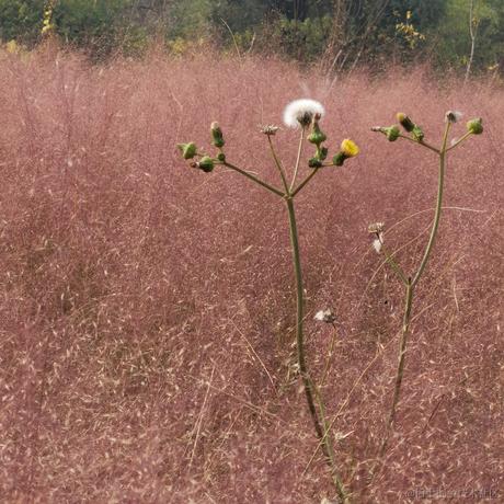 __ZYIXIU__于2022-11-10 11:28发布的图片