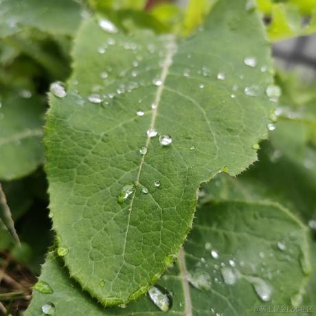 李小政935于2022-11-28 07:41发布的图片