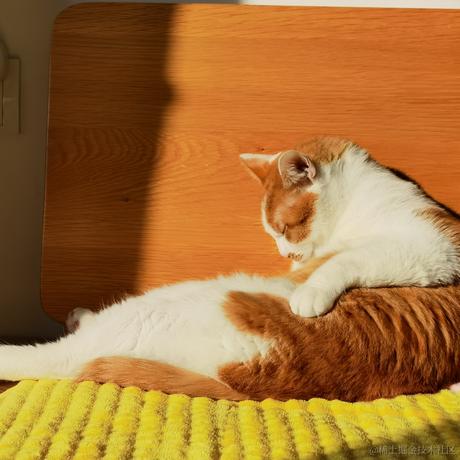 翊君于2022-01-13 10:05发布的图片