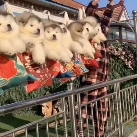 zzbaobi于2022-12-03 07:49发布的图片