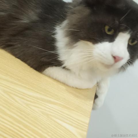 ntses于2023-04-29 10:54发布的图片