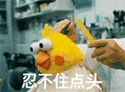 鹦鹉00013-忍不住点头.gif