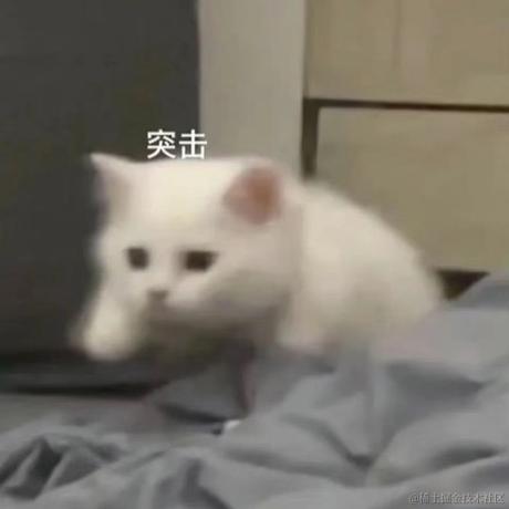 有一只猪于2022-06-20 11:11发布的图片