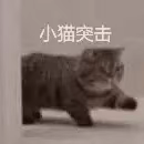 快乐摸鱼一天又一天于2022-11-22 22:00发布的图片