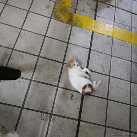 Yj家的孺子牛于2022-10-02 23:36发布的图片