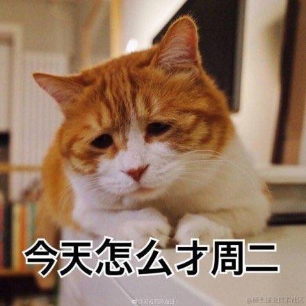 虎妞先生于2022-08-02 07:05发布的图片