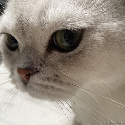 喵怼怼于2023-05-26 08:39发布的图片