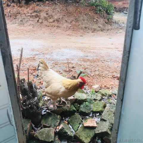 上东我阳仔于2023-01-23 16:54发布的图片