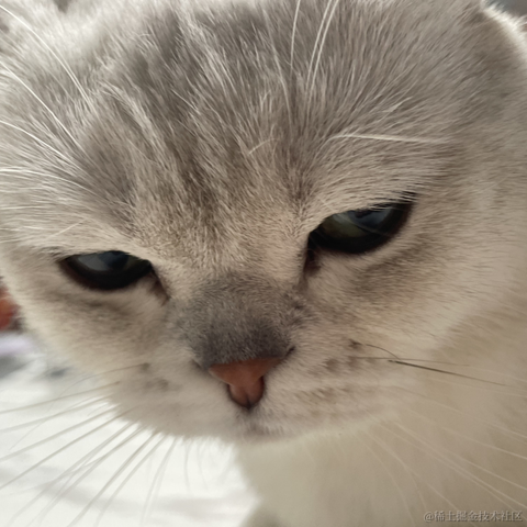 喵怼怼于2023-05-26 08:39发布的图片