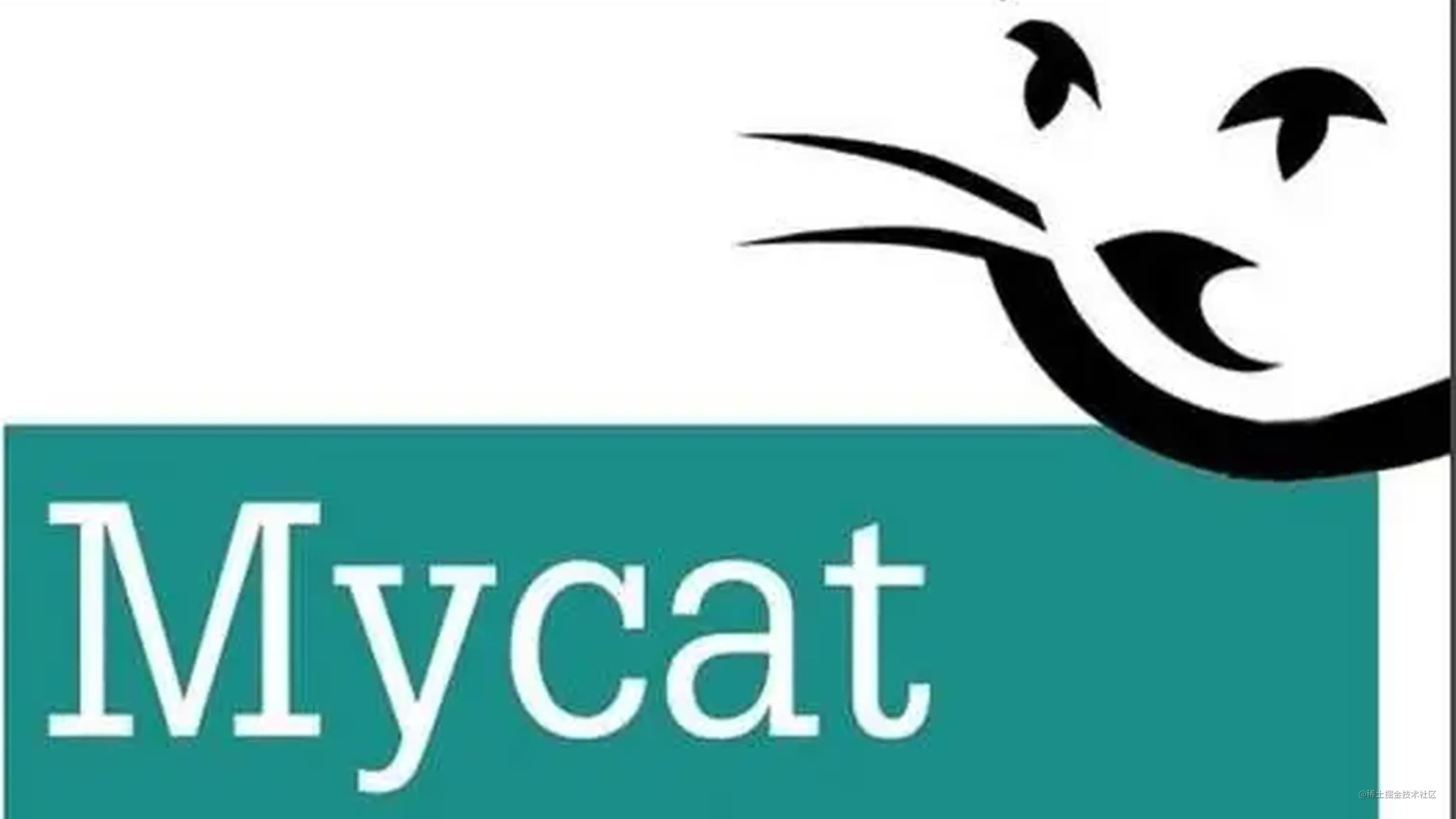 mycat，mycatisrockstar什么牌子