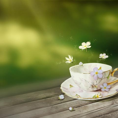 smart_dream于2024-06-14 11:46发布的图片