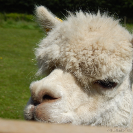 白影于2022-11-11 09:21发布的图片