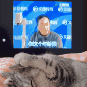 奇迹是九色的于2022-11-25 14:15发布的图片