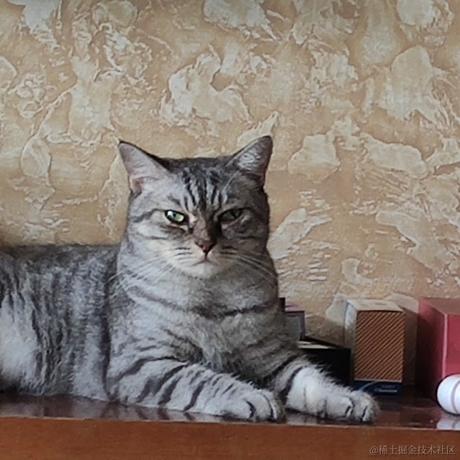 贝拉老公月光加冕于2022-11-11 13:14发布的图片