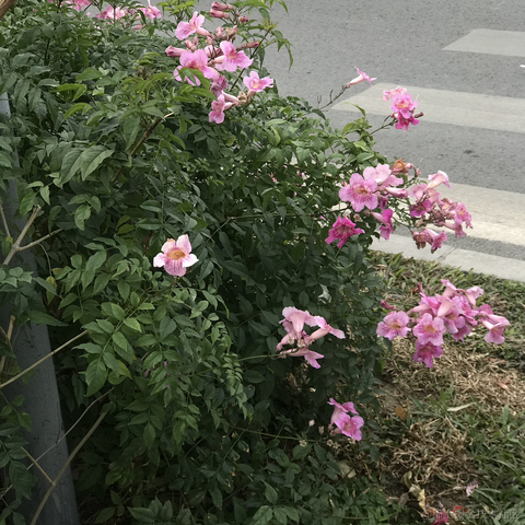 紫菜捏于2022-11-10 10:45发布的图片