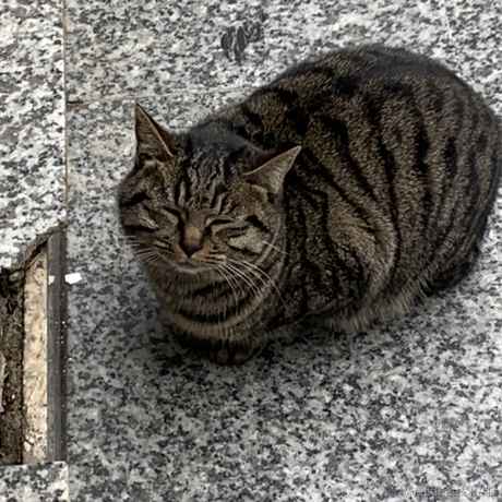 别町星灯于2023-05-06 23:24发布的图片