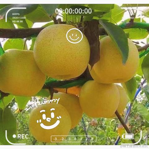 后端渣渣于2023-08-18 11:56发布的图片