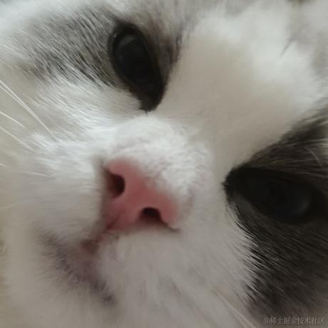 猫师傅于2023-04-04 10:47发布的图片