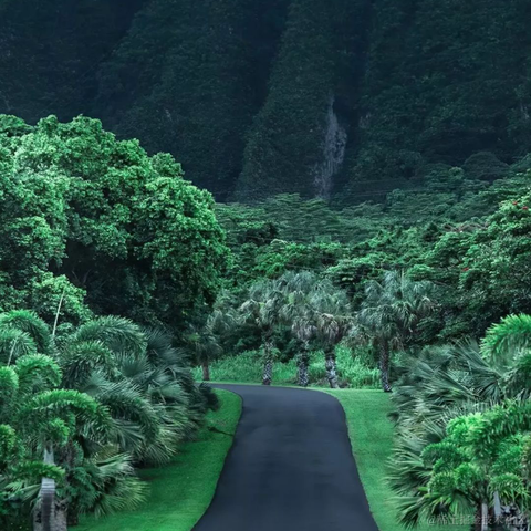 码界西柚于2023-01-18 00:42发布的图片