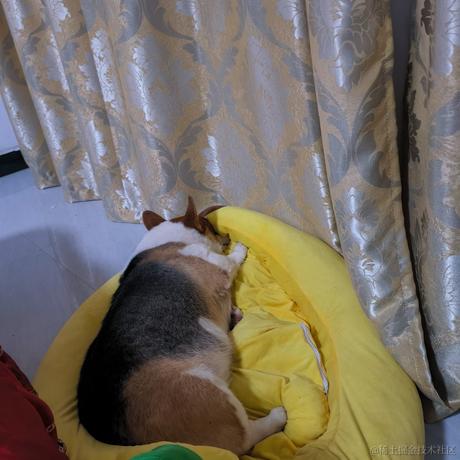 洛克克于2023-10-19 23:06发布的图片