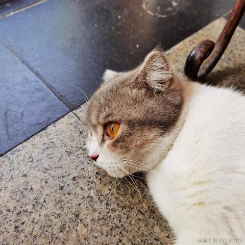 你好我就要起飞了于2022-08-05 08:18发布的图片