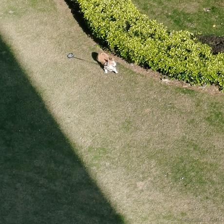 acaiEncode于2022-03-08 13:12发布的图片