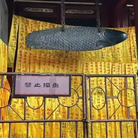 _锦瑟_于2023-06-25 14:15发布的图片