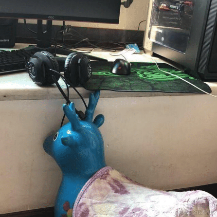 向晚Ava于2022-12-02 13:10发布的图片