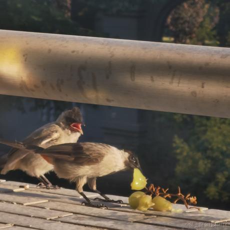 JZZZ于2022-11-22 13:09发布的图片