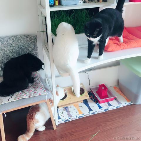 Susie_女子于2021-09-14 19:47发布的图片