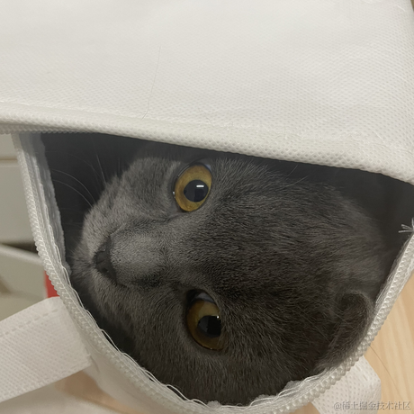 柒柒7于2022-09-26 22:33发布的图片