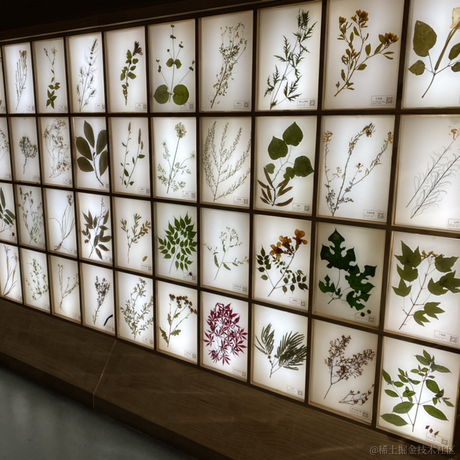 不是厨师于2023-05-13 22:10发布的图片