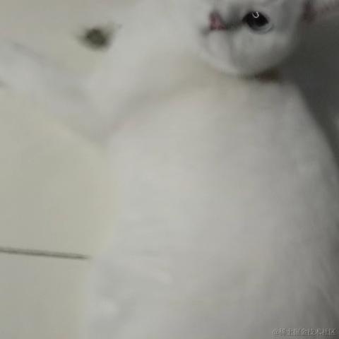 糖醋里脊没了于2022-11-26 12:58发布的图片